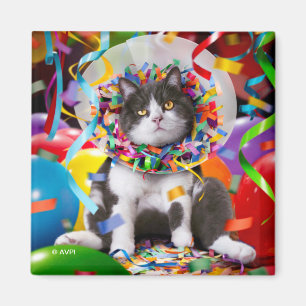 Kat i Party Cone Magnet