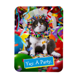 Kat i Party Cone Magnet