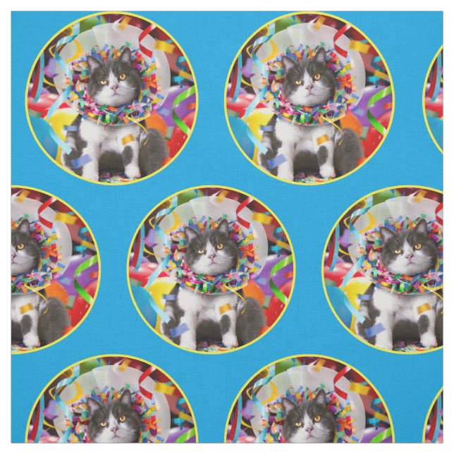 Kat i Party Cone Tyg (Provkarta)