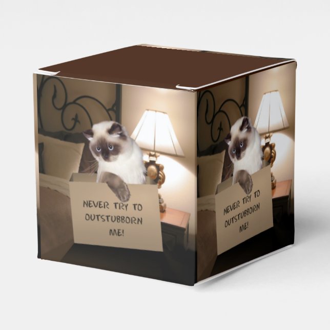 Kat i ruta presentaskar (Framsidan Sidan)