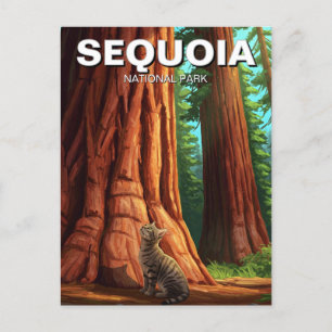 Kat i Sequoia nationalpark i Kalifornien Vykort