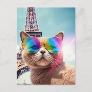 Kat i Sunglass i Paris Vykort