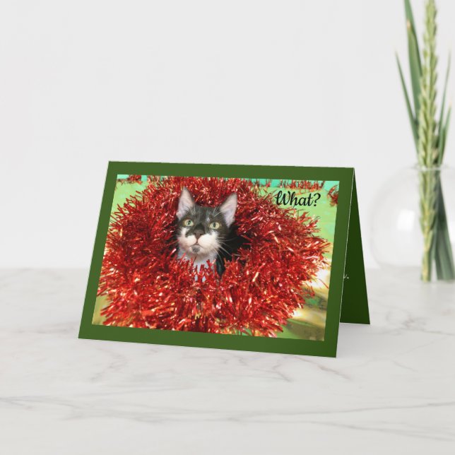 Kat i Tinsel Helgkort (Framsida)