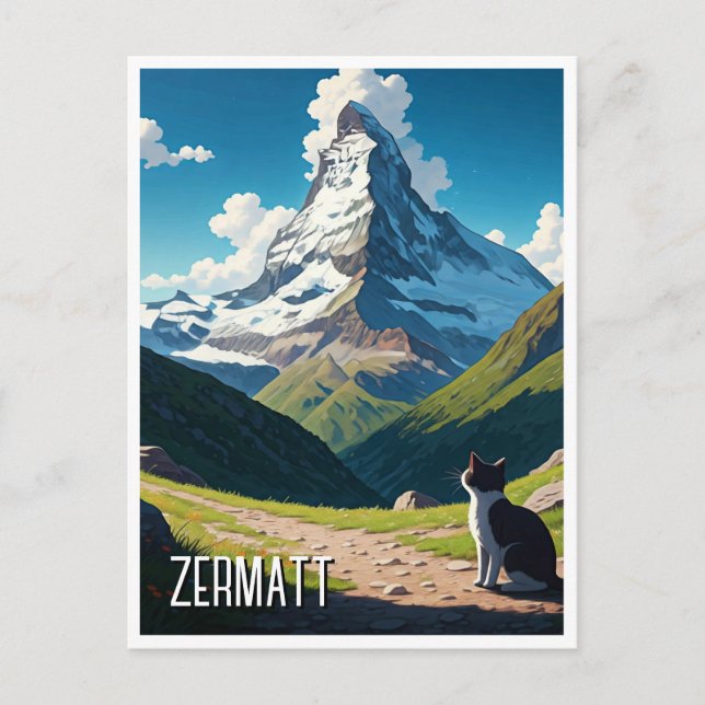 Kat i Zermatt Schweiz Matterhorn Vykort (Framsida)
