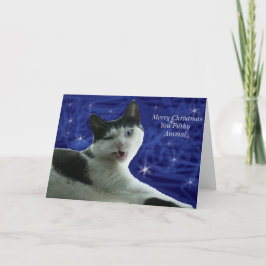 Kat jul Filthy Animal Helgkort