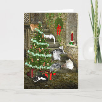 Kat jul helgkort
