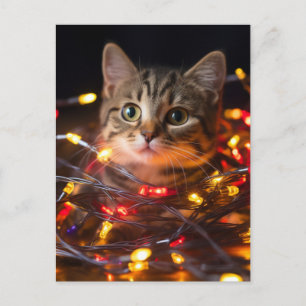 Kat jul Ljus Vykort