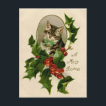 Kat jul Merry Holly Kitten Antique Art Vykort<br><div class="desc">En mycket god jul i kattunge! Den här söta lilla katten kommer från 1800-talet och tittar ut genom en spray av julklapp i löv.</div>