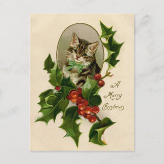Kat jul Merry Holly Kitten Antique Art Vykort