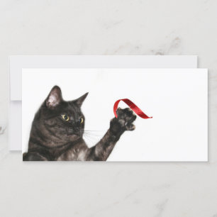 Kat-julband Julkort