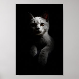 Kat/Kitten/Kattunge Porträtt Poster