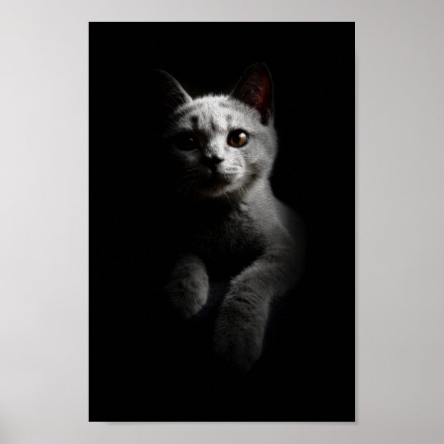 Kat/Kitten/Kattunge Porträtt Poster (Framsidan)