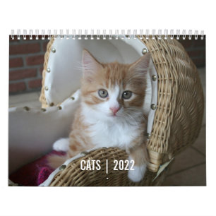 Kat Life-kalender Kalender