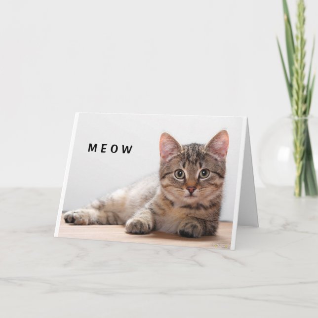 **KAT LOVERS** FONDAGENS GREETINGKORT KORT (Framsida)