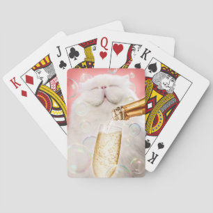 Kat med champagne casinokort