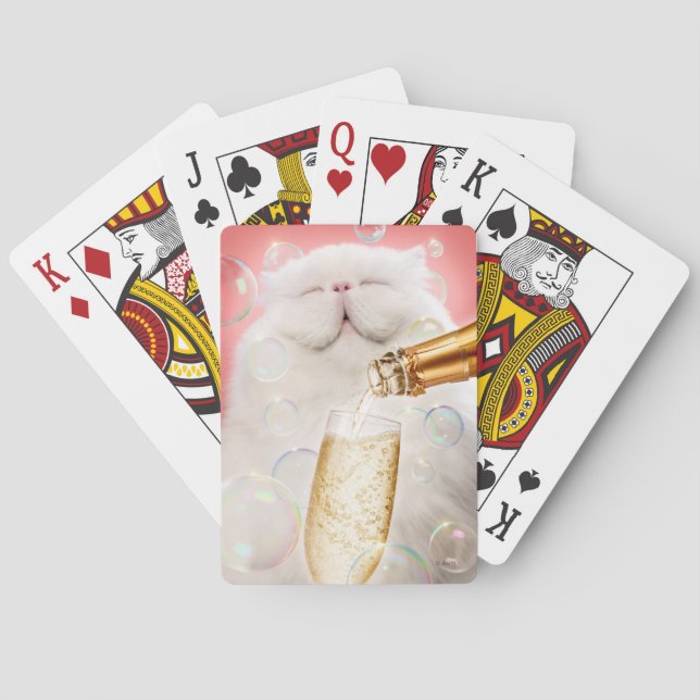 Kat med champagne casinokort (Baksidan)