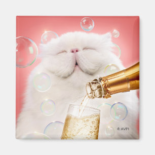 Kat med champagne magnet