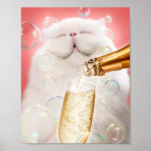 Kat med champagne poster
