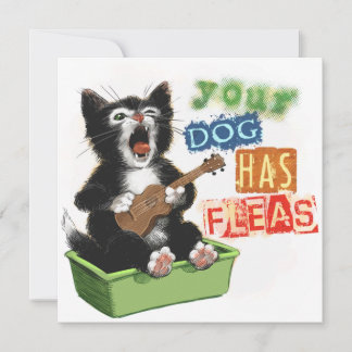 Kat med Ukulele Card Julkort