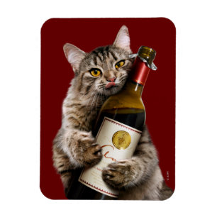 Kat med Vin Flaska Magnet