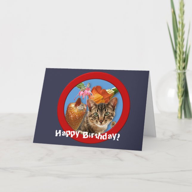 Kat 'n Mouse Birday Card Kort (Framsida)