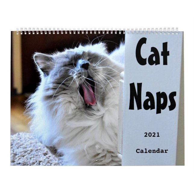 Kat Naps 2021 Kalender (Omslag)