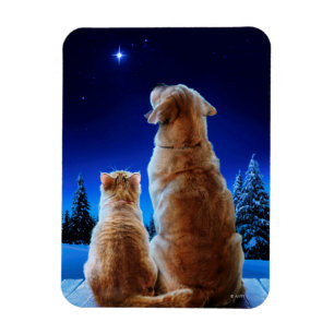 Kat och Hund Miracle Magnet