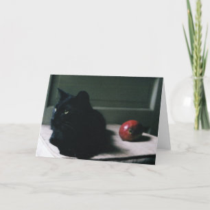 Kat- och mangkort kort