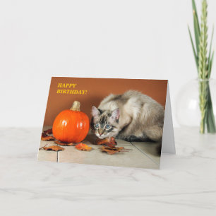 Kat- och pumpkin-födelsedagskort kort