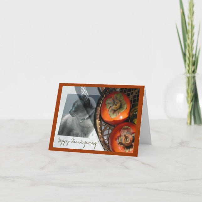 Kat och tillstånd helgkort (Framsida)