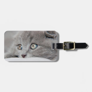 Kat Ögon Bagagebricka