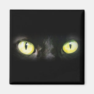 Kat Ögon, svart och Gult Stare Magnet