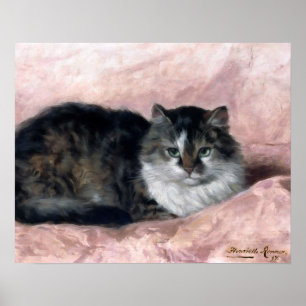 Kat om Rosa Pillow av Henriëtte Ronner-Knip Poster