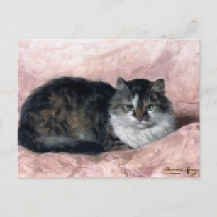 Kat om Rosa Pillow av Henriëtte Ronner-Knip Vykort