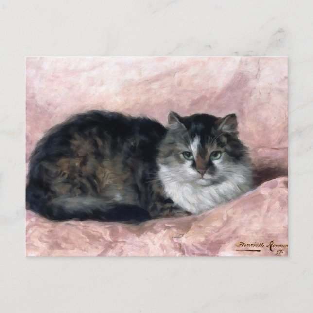 Kat om Rosa Pillow av Henriëtte Ronner-Knip Vykort (Framsida)
