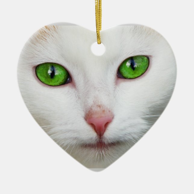 Kat Ornament (Framsidan)