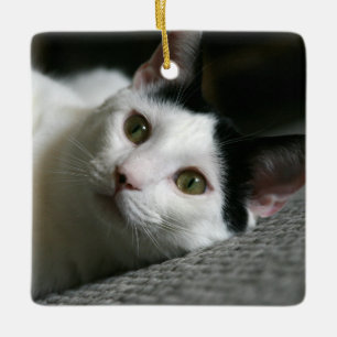Kat Ornament