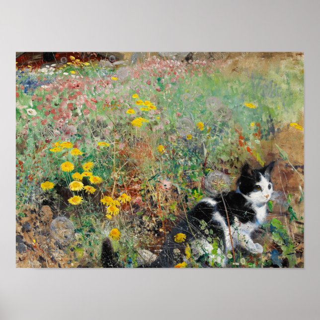 Kat på Flowerbed Poster (Framsidan)