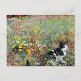 Kat på Flowerbed Vykort