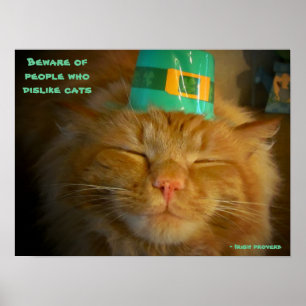 Kat på Irish Hat med ordspråk Poster