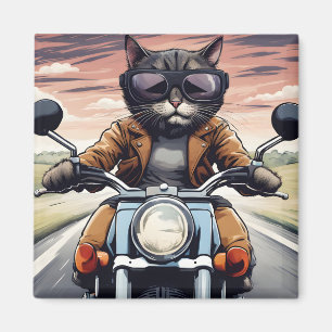 Kat på motorcykel magnet