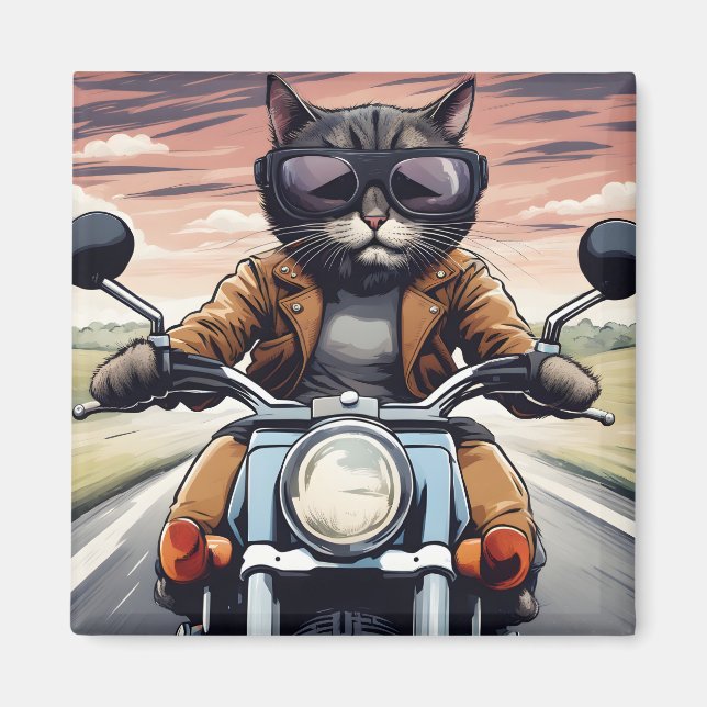Kat på motorcykel magnet (Framsidan)