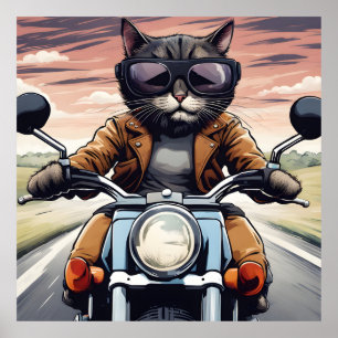 Kat på motorcykel poster