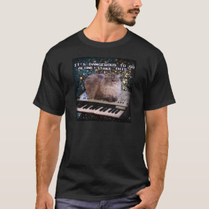 Kat på Tangentbord i rymden T Shirt