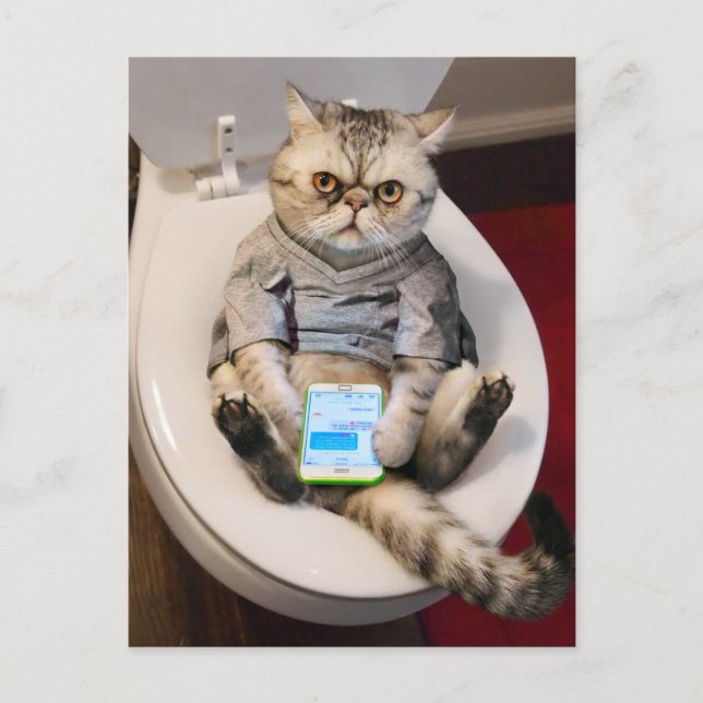 Kat på Toilet Inbjudan Vykort (Framsida)