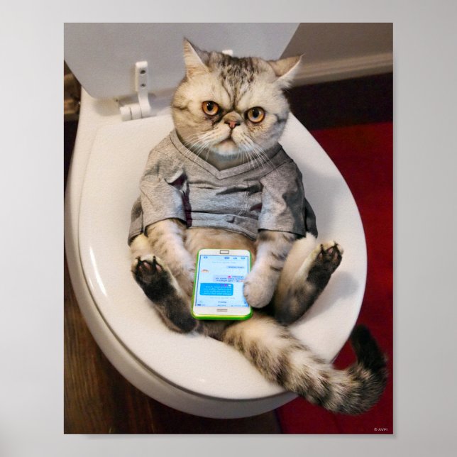 Kat på Toilet Poster (Framsidan)