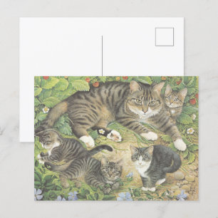 KAT-PAINERAT POSTCARD VYKORT