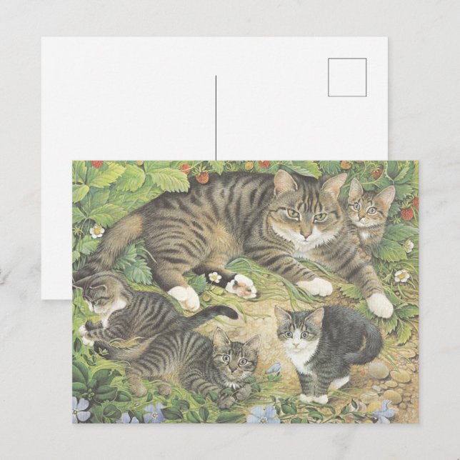 KAT-PAINERAT POSTCARD VYKORT (Fram/baksida)