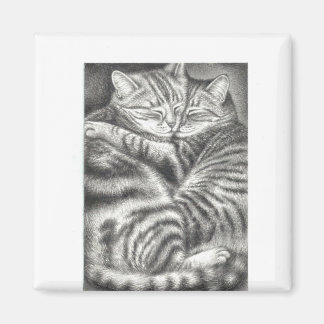 Kat par magnet