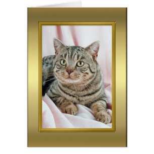 Kat Pedigree Card Hälsningskort